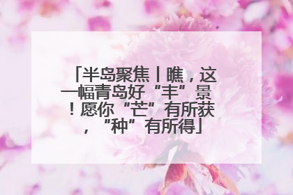 半岛聚焦丨瞧，这一幅青岛好“丰”景！愿你“芒”有所获，“种”有所得