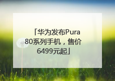 华为发布Pura80系列手机，售价6499元起