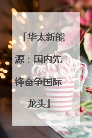 华太新能源：国内先锋奋争国际龙头