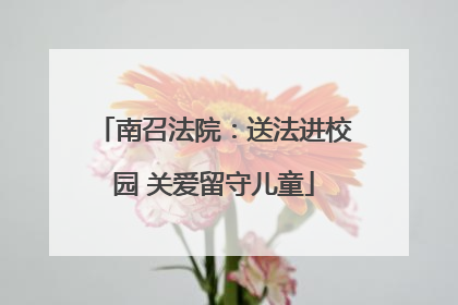 南召法院：送法进校园 关爱留守儿童