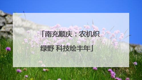 南充顺庆：农机织绿野 科技绘丰年