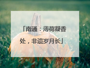 南通：薄荷凝香处，非遗岁月长