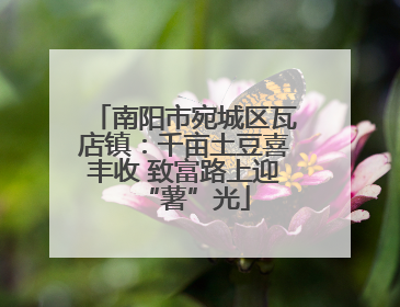南阳市宛城区瓦店镇：千亩土豆喜丰收 致富路上迎“薯”光