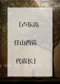卢东亮任山西省代省长