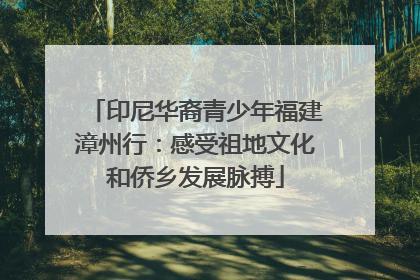 印尼华裔青少年福建漳州行：感受祖地文化和侨乡发展脉搏