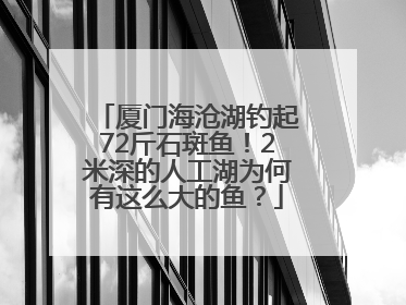 厦门海沧湖钓起72斤石斑鱼！2米深的人工湖为何有这么大的鱼？