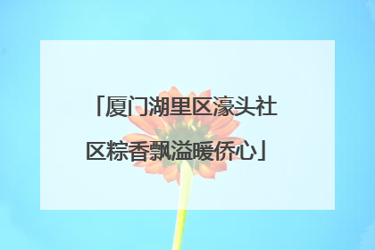 厦门湖里区濠头社区粽香飘溢暖侨心