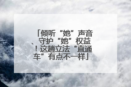 倾听“她”声音、守护“她”权益！这趟立法“直通车”有点不一样