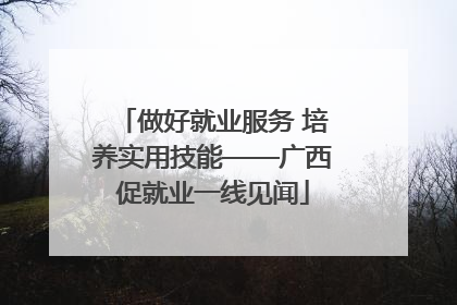 做好就业服务 培养实用技能——广西促就业一线见闻