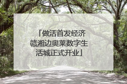 做活首发经济 赣湘边奥莱数字生活城正式开业