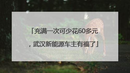 充满一次可少花60多元，武汉新能源车主有福了