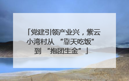 党建引领产业兴，紫云小湾村从 “靠天吃饭” 到 “抱团生金”