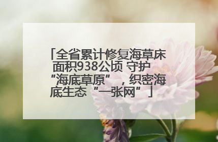全省累计修复海草床面积938公顷 守护“海底草原”，织密海底生态“一张网”