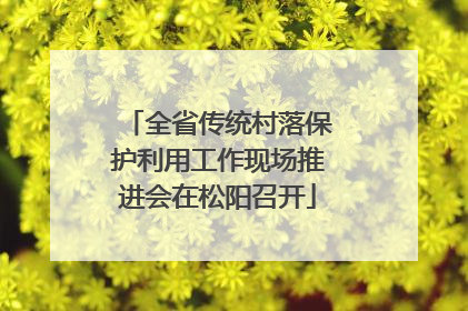 全省传统村落保护利用工作现场推进会在松阳召开