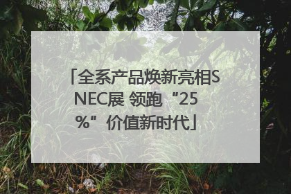 全系产品焕新亮相SNEC展 领跑“25%”价值新时代