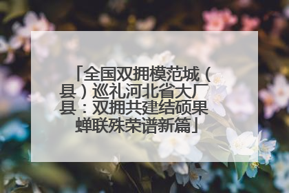 全国双拥模范城（县）巡礼河北省大厂县：双拥共建结硕果 蝉联殊荣谱新篇