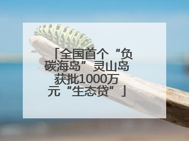 全国首个“负碳海岛”灵山岛获批1000万元“生态贷”