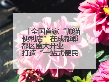 全国首家“帅猫便利店”在成都郫都区盛大开业——打造“一站式便民服务”新标杆