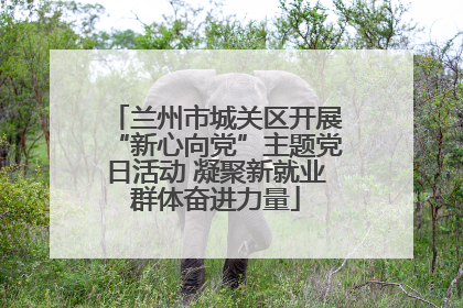 兰州市城关区开展“新心向党”主题党日活动 凝聚新就业群体奋进力量