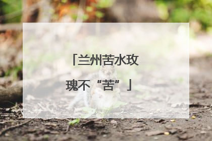 兰州苦水玫瑰不“苦”
