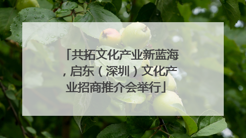 共拓文化产业新蓝海，启东（深圳）文化产业招商推介会举行