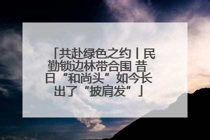 共赴绿色之约丨民勤锁边林带合围 昔日“和尚头”如今长出了“披肩发”