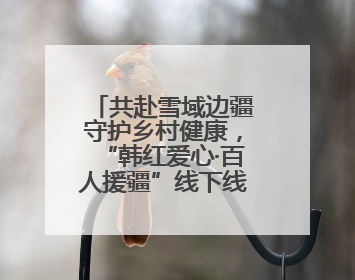 共赴雪域边疆守护乡村健康，“韩红爱心·百人援疆”线下线上进行时