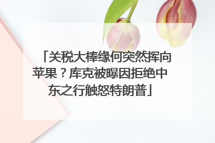 关税大棒缘何突然挥向苹果？库克被曝因拒绝中东之行触怒特朗普