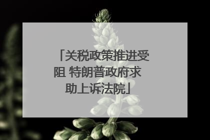 关税政策推进受阻 特朗普政府求助上诉法院