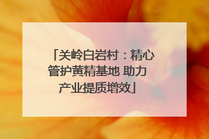 关岭白岩村：精心管护黄精基地 助力产业提质增效