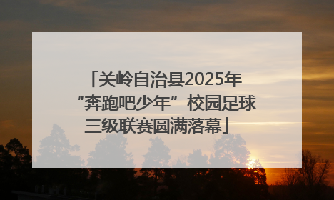 关岭自治县2025年“奔跑吧少年”校园足球三级联赛圆满落幕