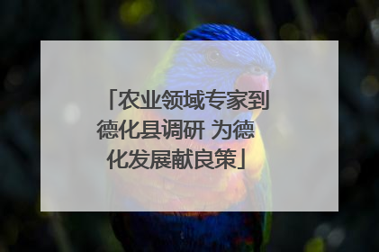 农业领域专家到德化县调研 为德化发展献良策