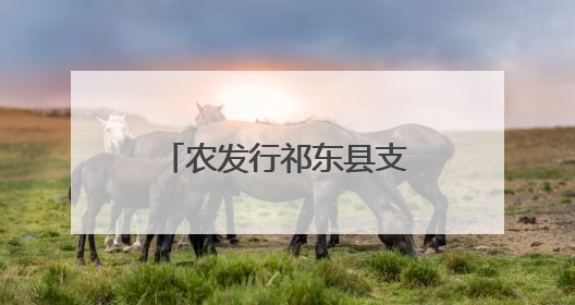 农发行祁东县支行开展《存款保险条例》施行十周年宣传活动