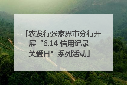 农发行张家界市分行开展“6.14 信用记录关爱日”系列活动
