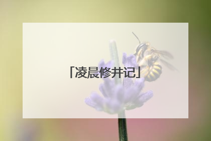 凌晨修井记