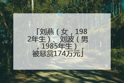 刘燕（女，1982年生）、刘波（男，1985年生），被悬赏174万元