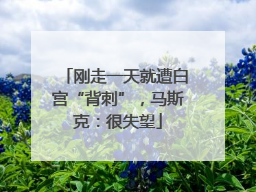 刚走一天就遭白宫“背刺”，马斯克：很失望