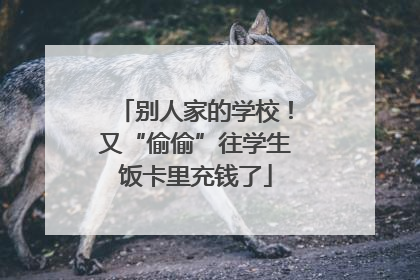 别人家的学校！又“偷偷”往学生饭卡里充钱了