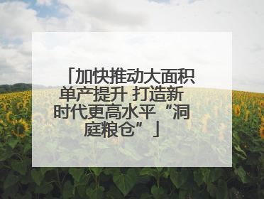 加快推动大面积单产提升 打造新时代更高水平“洞庭粮仓”