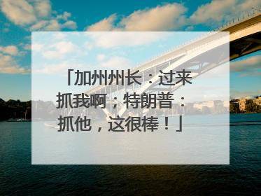 加州州长：过来抓我啊；特朗普：抓他，这很棒！