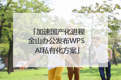 加速国产化进程 金山办公发布WPS AI私有化方案