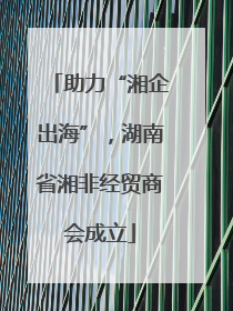 助力“湘企出海”，湖南省湘非经贸商会成立