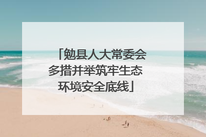 勉县人大常委会多措并举筑牢生态环境安全底线