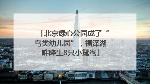 北京绿心公园成了“鸟类幼儿园”，福泽湖畔降生8只小鸳鸯