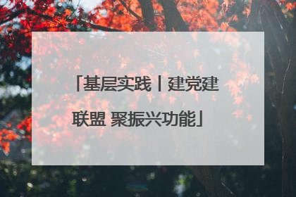 基层实践丨建党建联盟 聚振兴功能