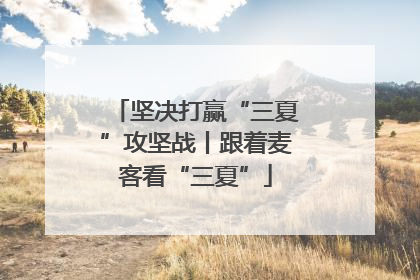 坚决打赢“三夏”攻坚战丨跟着麦客看“三夏”