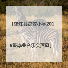 垫江县高安小学2019级毕业音乐会落幕