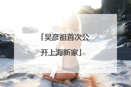 吴彦祖首次公开上海新家