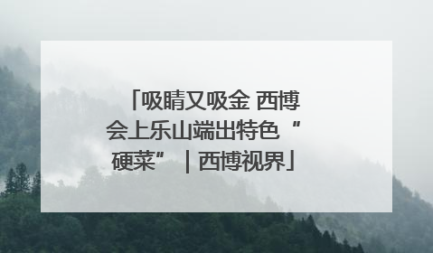 吸睛又吸金 西博会上乐山端出特色“硬菜”｜西博视界