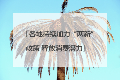 各地持续加力“两新”政策 释放消费潜力